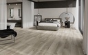PORCELAIN TILES 25 X 150 ORION MATT RECT