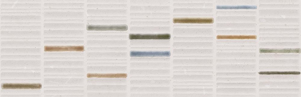 PORCELAIN TILES 32 X 99 CIALDA-R MACEDONIA