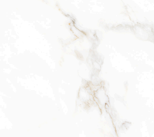 PORCELAIN TILES 119 X 119 PALMIRA GOLD RECT