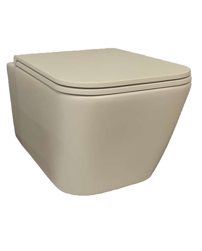 ITALIAN WALL MOUNTED TOILET NO STS06PA WITH COVER NO ST020PA MATTE BEIGE