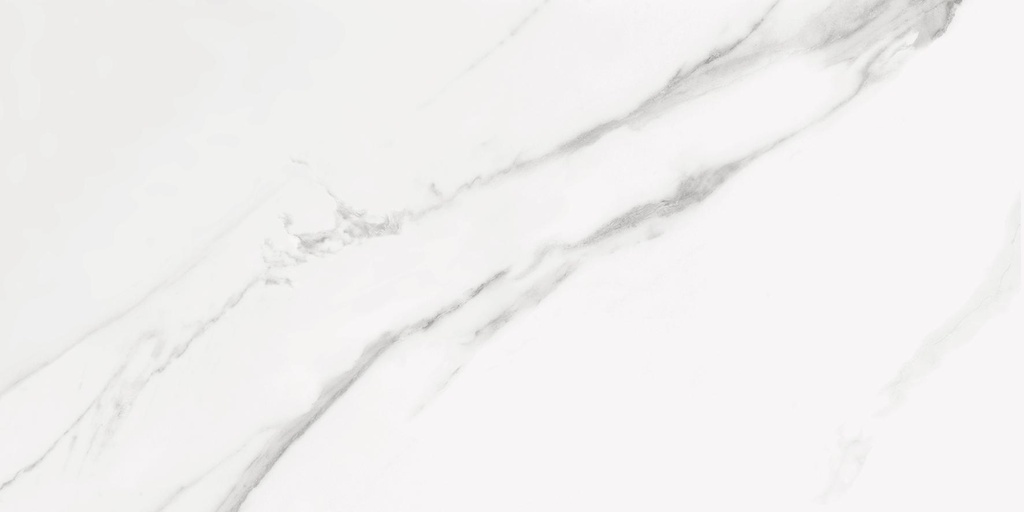 PORCELAIN TILES 60 X 120 WHITE SOUL RECT