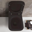 ITALIAN WALL MOUNTED TOILET STONE NO STS05AR WITH COVER NO ST022AR BLACK