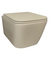 ITALIAN WALL MOUNTED TOILET NO STS06PA WITH COVER NO ST020PA MATTE BEIGE