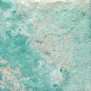 PORCELAIN TILE 15 X 15 MARE VIRIDUS